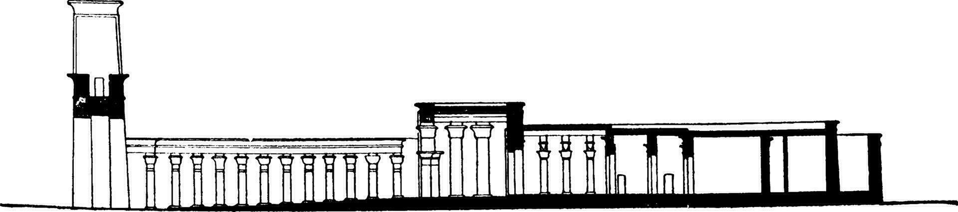 têmpora do Edfu seção, antigo egípcio têmpora, vintage gravação. vetor