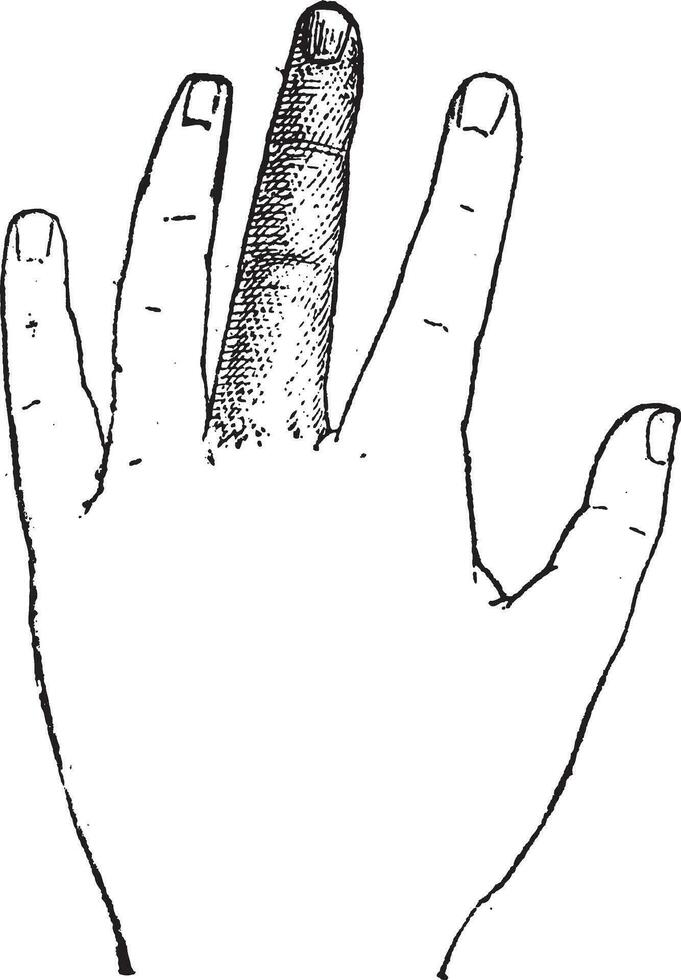 humano meio dedo, vintage gravação vetor