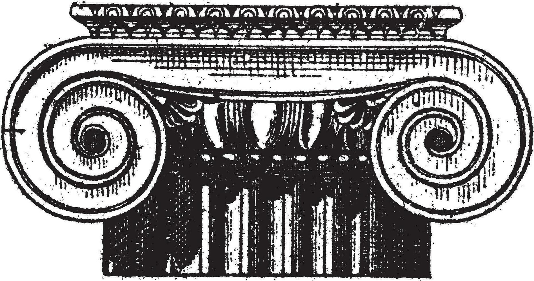 Figo. 1. iônico grego, anterior e posterior Visualizações, vintage gravação. vetor