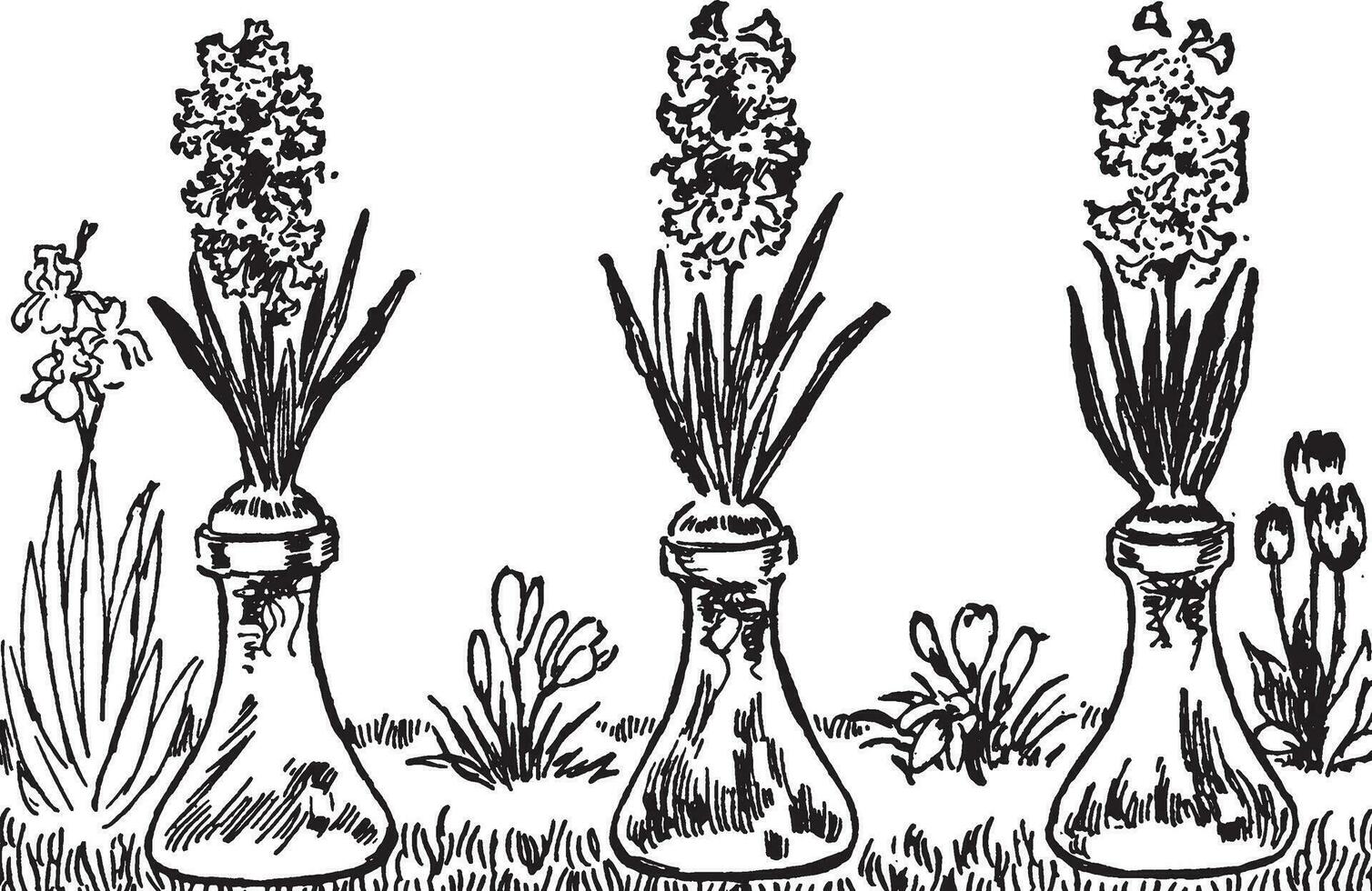 ilustração vintage de flores. vetor