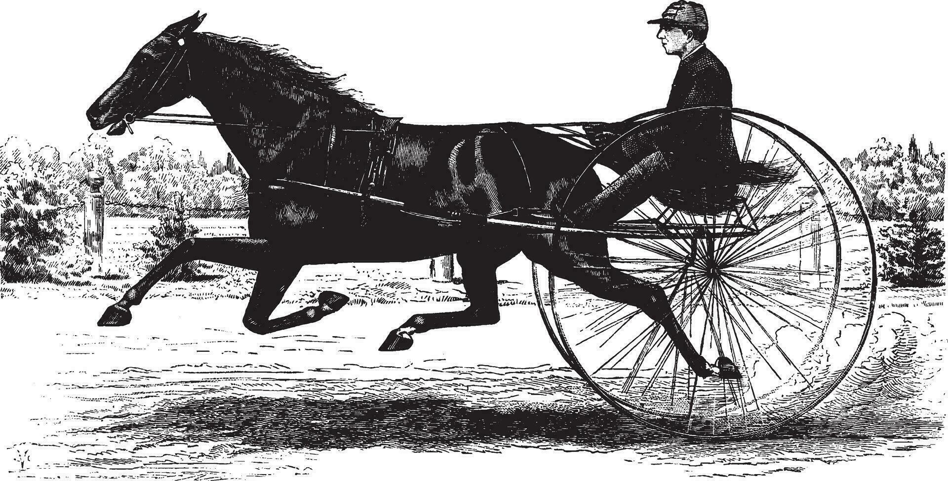 cavalo desenhado buggy, vintage ilustração. vetor