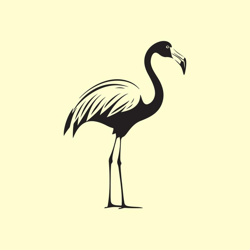 flamingo vetor imagens, arte, e ilustração