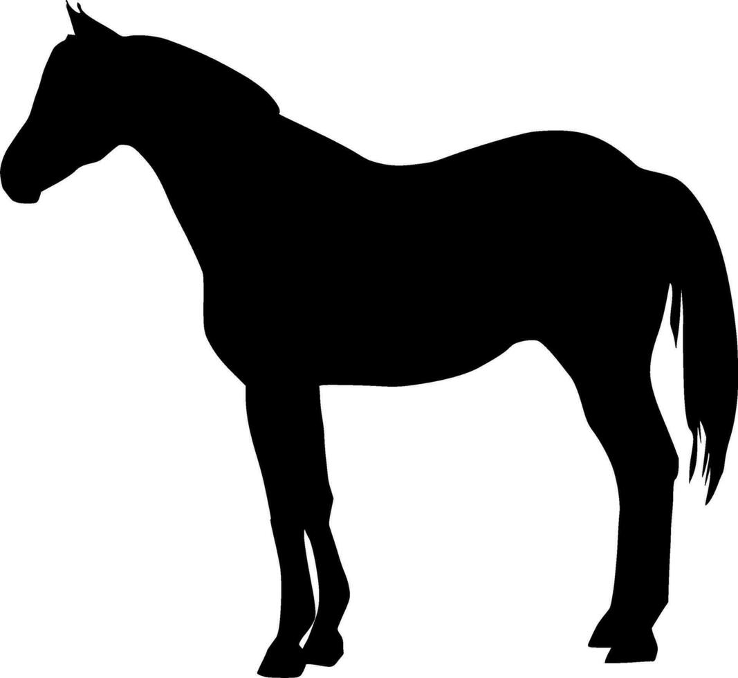 cavalo silhueta vetor em branco fundo