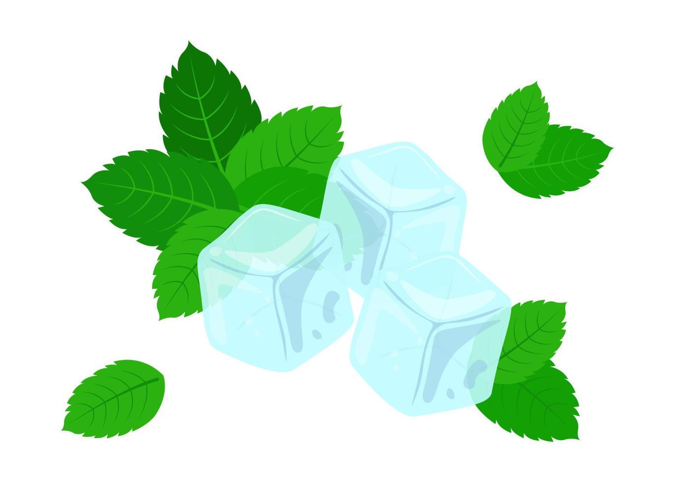 cubos de gelo e folhas de hortelã isoladas. folha fresca de hortelã e gelo. ilustração vetorial vetor