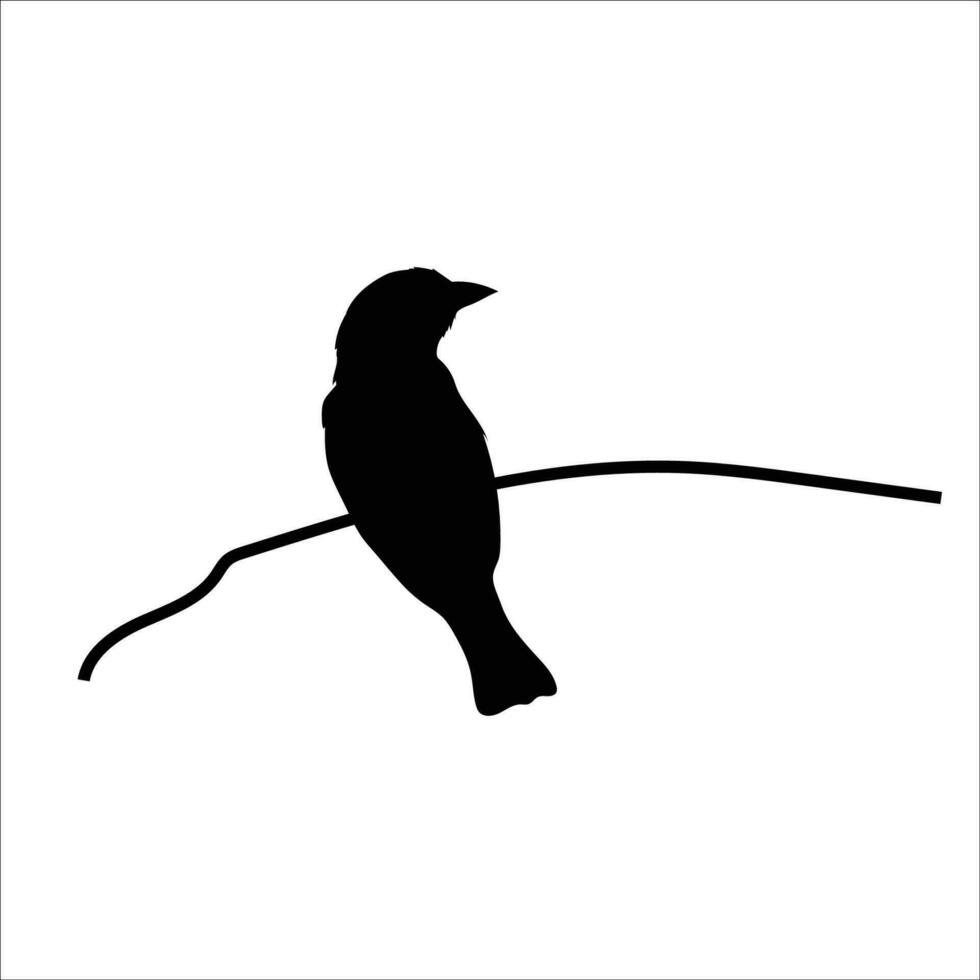 pássaro silhueta estoque vetor ilustração