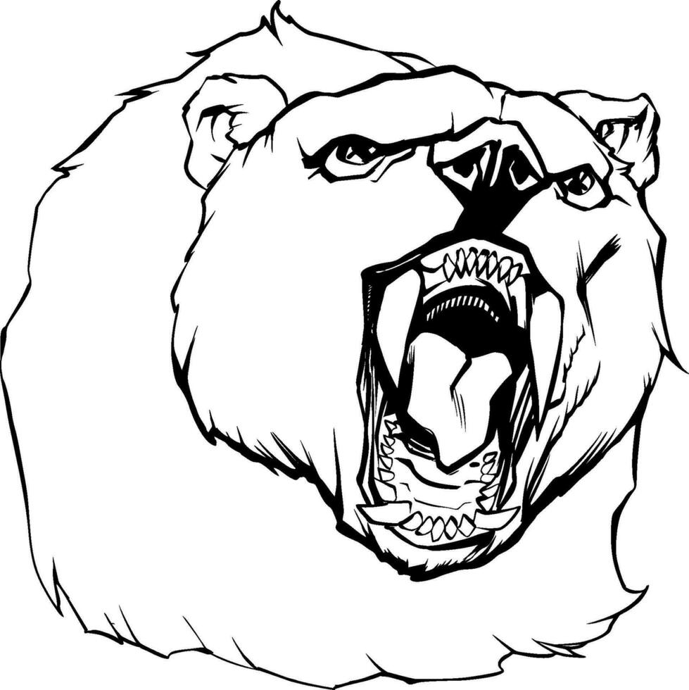 ilustração de cabeça de urso vetor