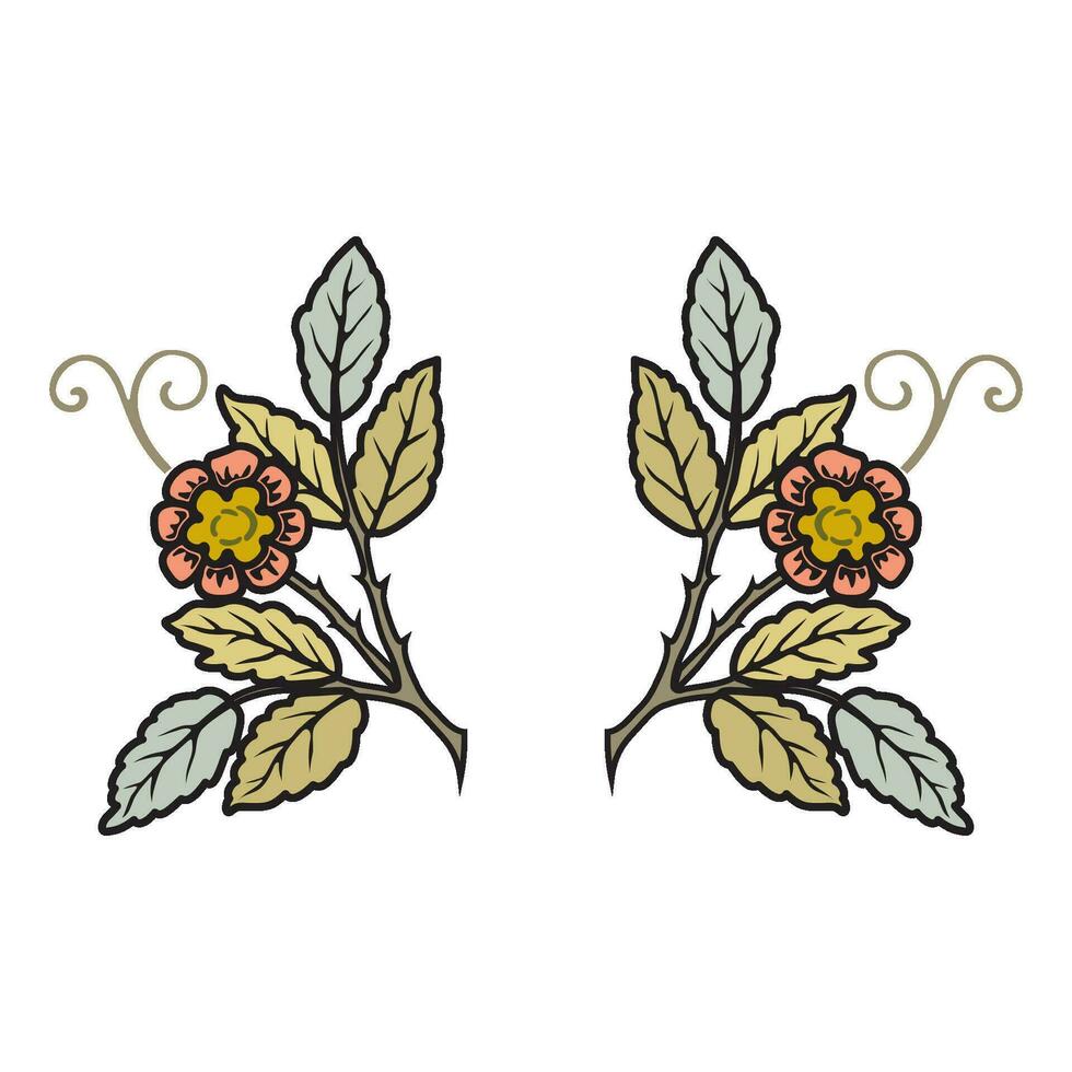 vintage floral caligráfico floral vinheta rolagem cantos ornamental Projeto elementos conjunto isolado ilustração vetor