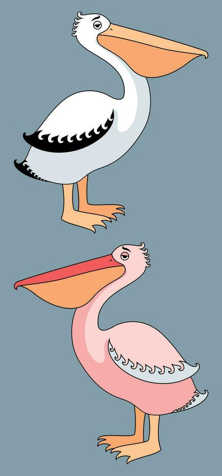 pelicanos desenho animado conjunto vetor