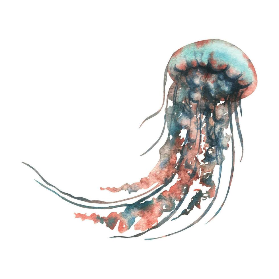 medusa dentro turquesa, azul e coral cores. mão desenhado aguarela ilustração. mar animais, embaixo da agua mundo, frutos do mar. isolado objeto em branco fundo para decoração e Projeto vetor eps