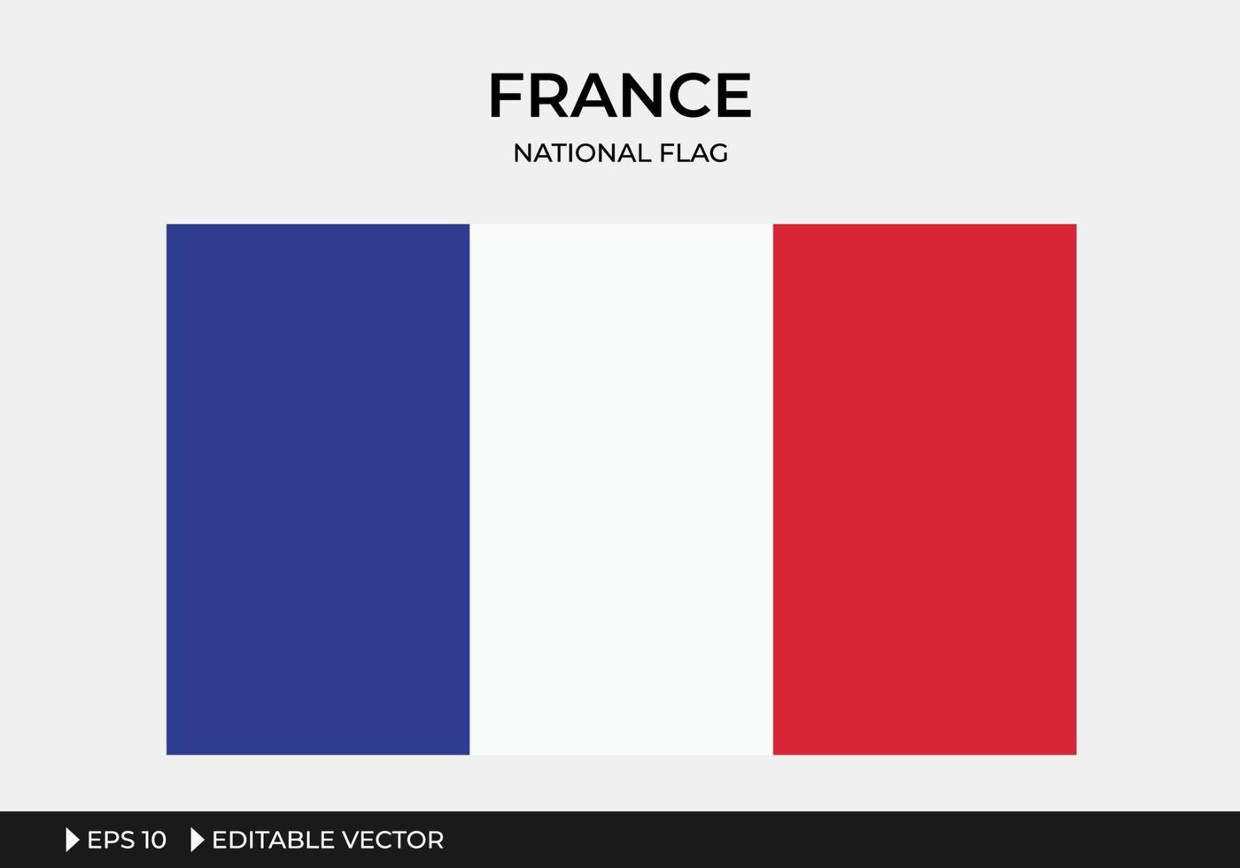 ilustração da bandeira nacional da frança vetor