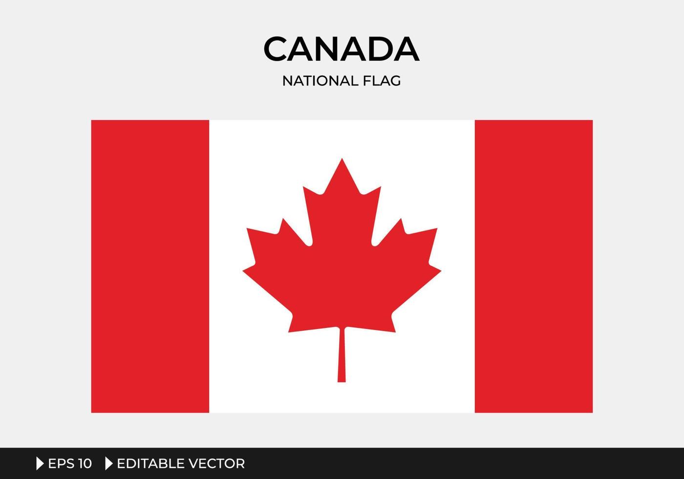 ilustração da bandeira nacional do Canadá vetor