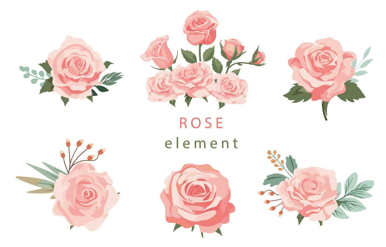 Rosa rosa objeto elemento conjunto com folha.ilustração vetor para cartão postal, adesivo