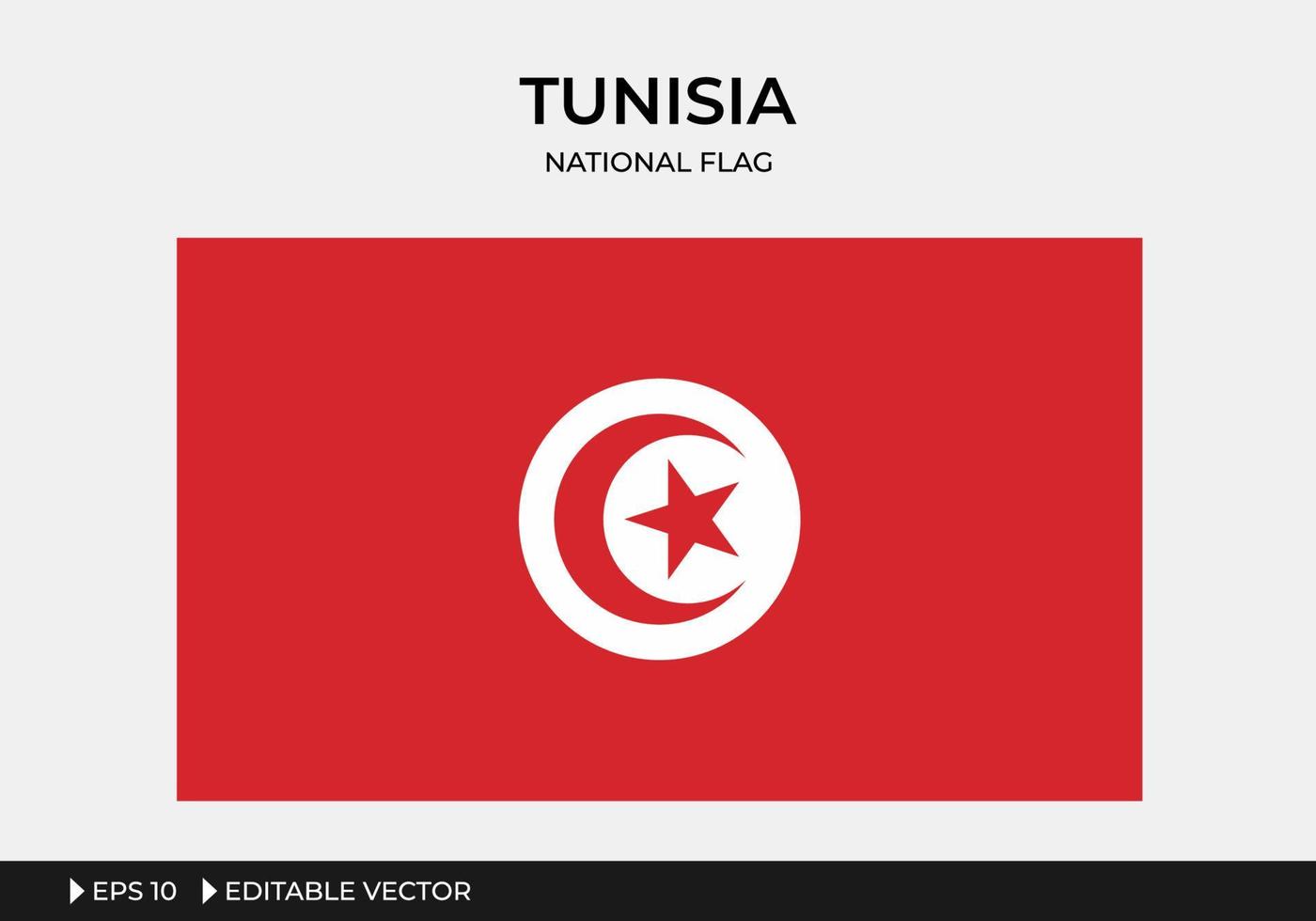 ilustração da bandeira nacional da tunísia vetor
