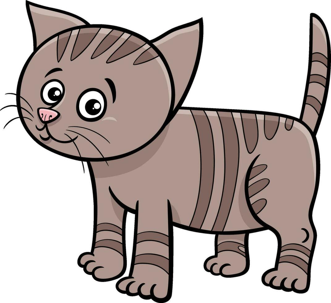 fofa desenho animado malhado gatinho quadrinho animal personagem vetor