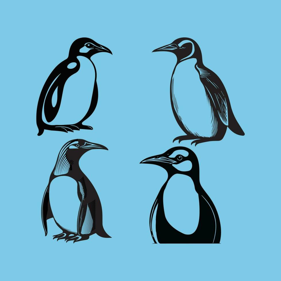 Preto pinguim vetor ilustrações.