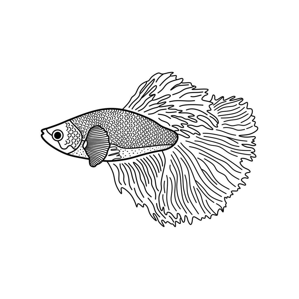 mão desenhado desenho animado vetor ilustração betta peixe ícone isolado em branco fundo