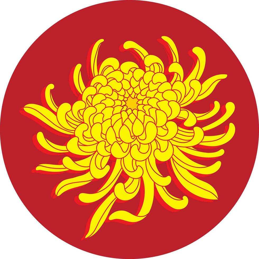 ilustração do crisântemo flor em vermelho círculo fundo. vetor