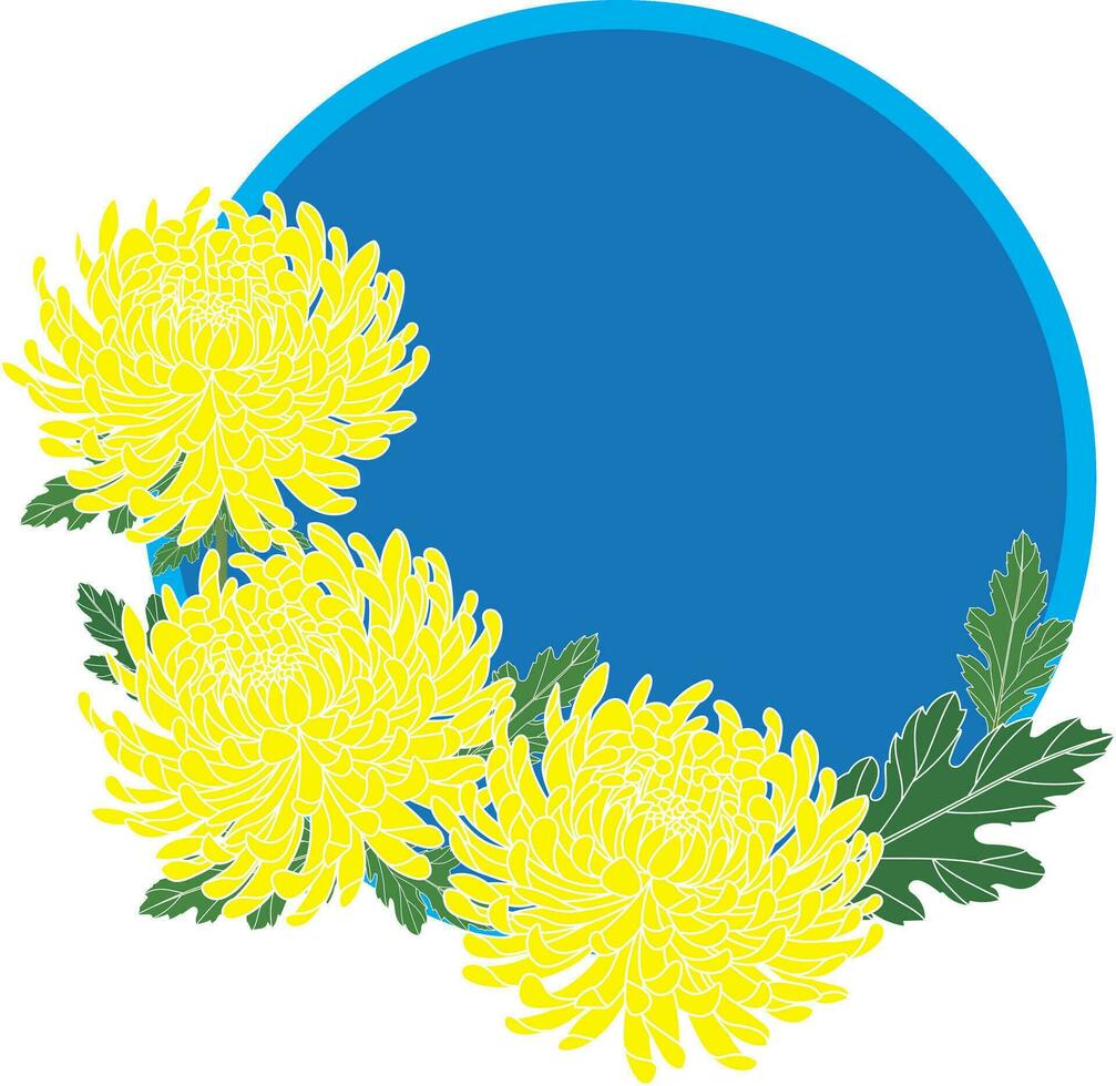 ilustração do amarelo crisântemo flor com folha em azul círculo fundo. vetor