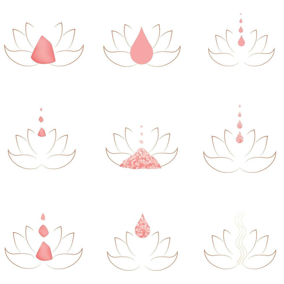 conjunto do flor logotipo desenhos para spas e salões vetor