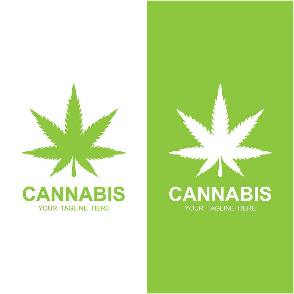 cannabis folha logotipo vetor ícone ilustração Projeto