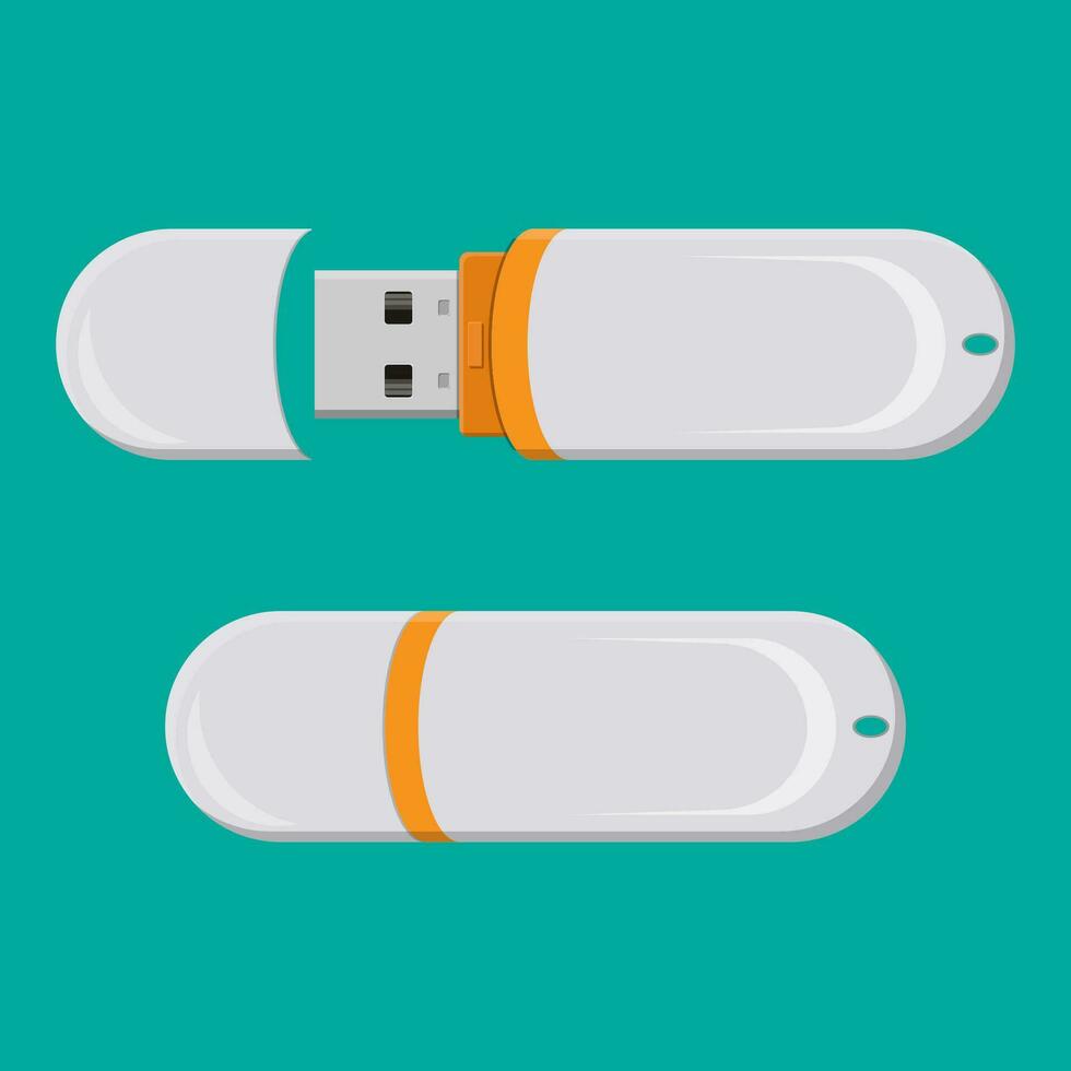 USB pc instantâneo dirigir isolado em branco. memória computador dispositivo. sólido Estado dirigir dentro plano estilo. armazenamento bastão para USB porta vetor ilustração