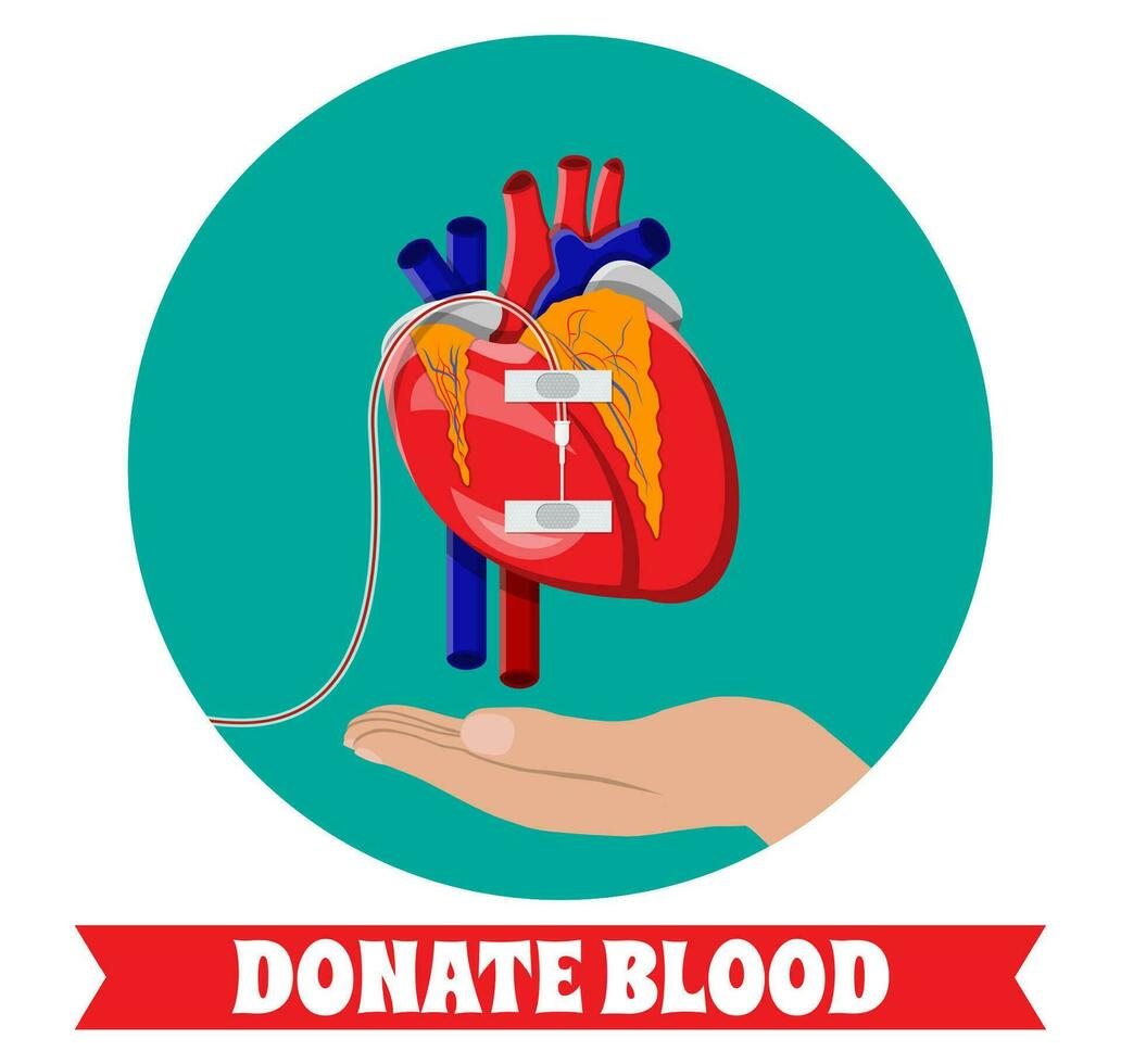 mão do doador com coração. sangue doação dia conceito. humano doa sangue. vetor ilustração dentro plano estilo.
