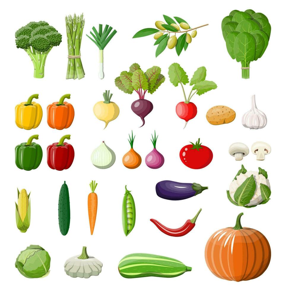 grande vegetal isolado ícone definir. cebola, beringela, repolho, pimenta, abóbora, pepino, tomate cenoura e de outros legumes. orgânico saudável Comida. vegetariano nutrição. vetor ilustração dentro plano estilo