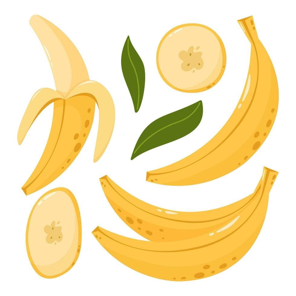 banana fruta definir, vetor ilustração. fatias e todo verão tropical frutas, gráfico Projeto elementos. desenho animado plano estilo