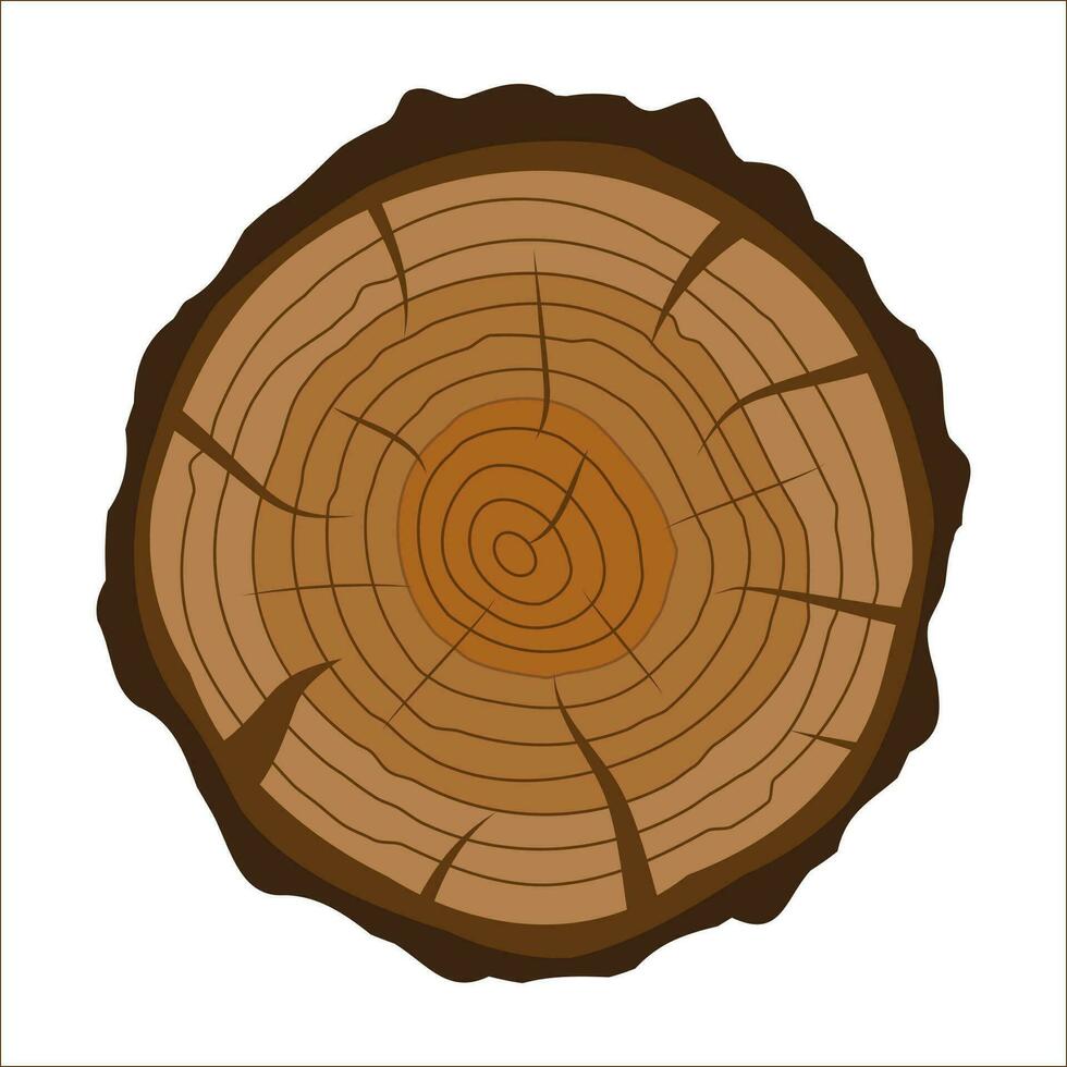 Cruz seção do árvore toco ou porta-malas. madeira corte. vetor ilustração dentro plano estilo
