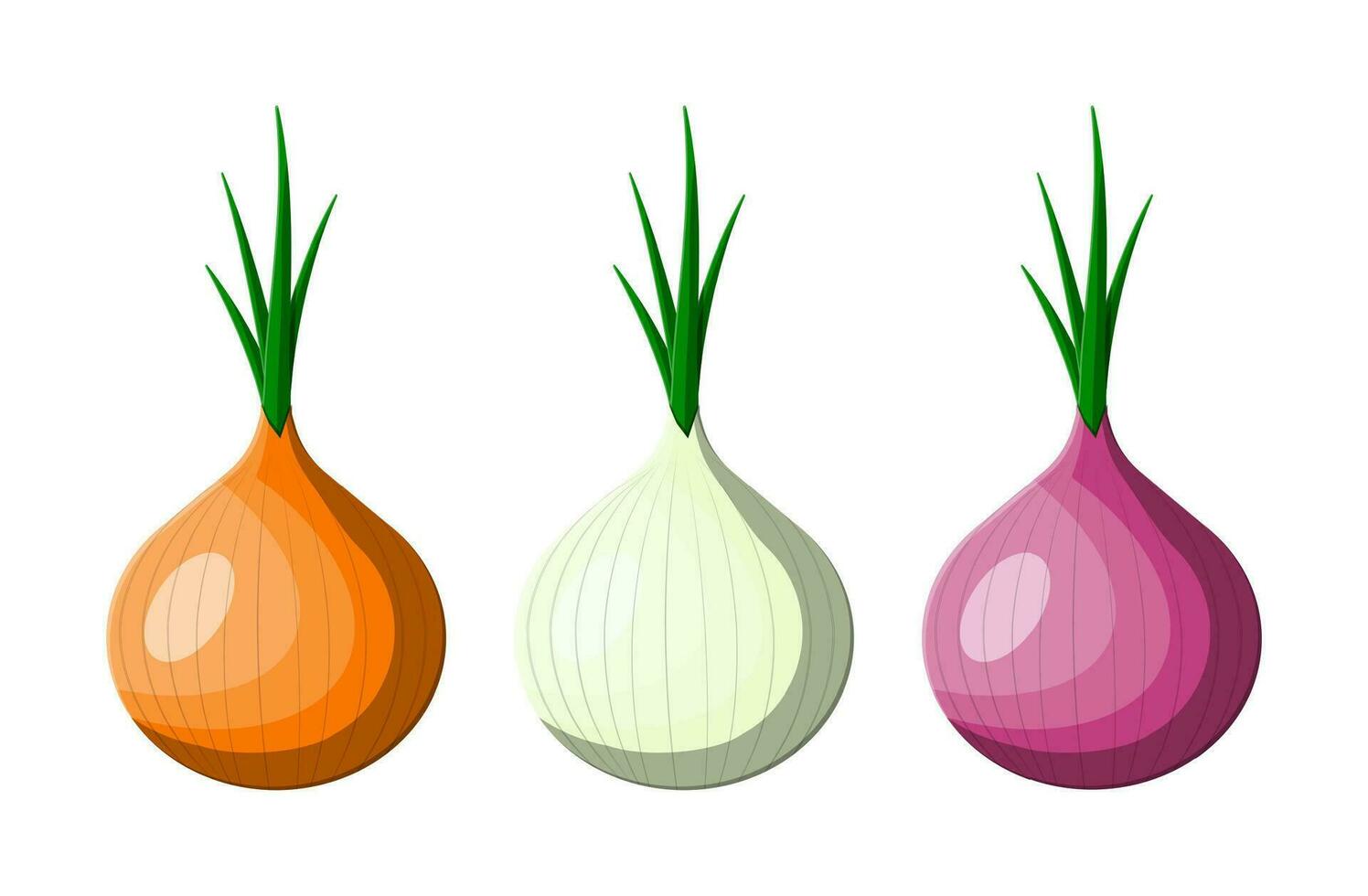 cebola vegetal isolado em branco. orgânico saudável Comida. vegetariano nutrição. vetor ilustração dentro plano estilo