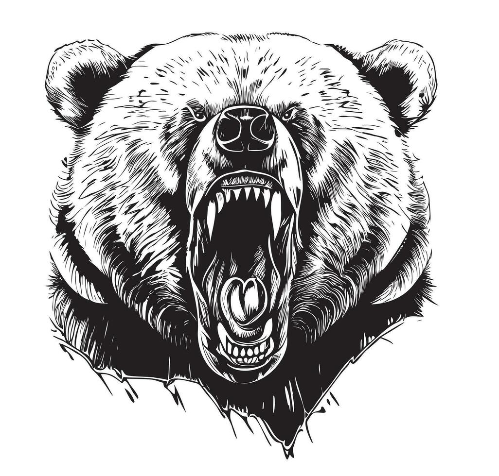 Bravo Urso face esboço mão desenhado grisalho Urso vetor ilustração
