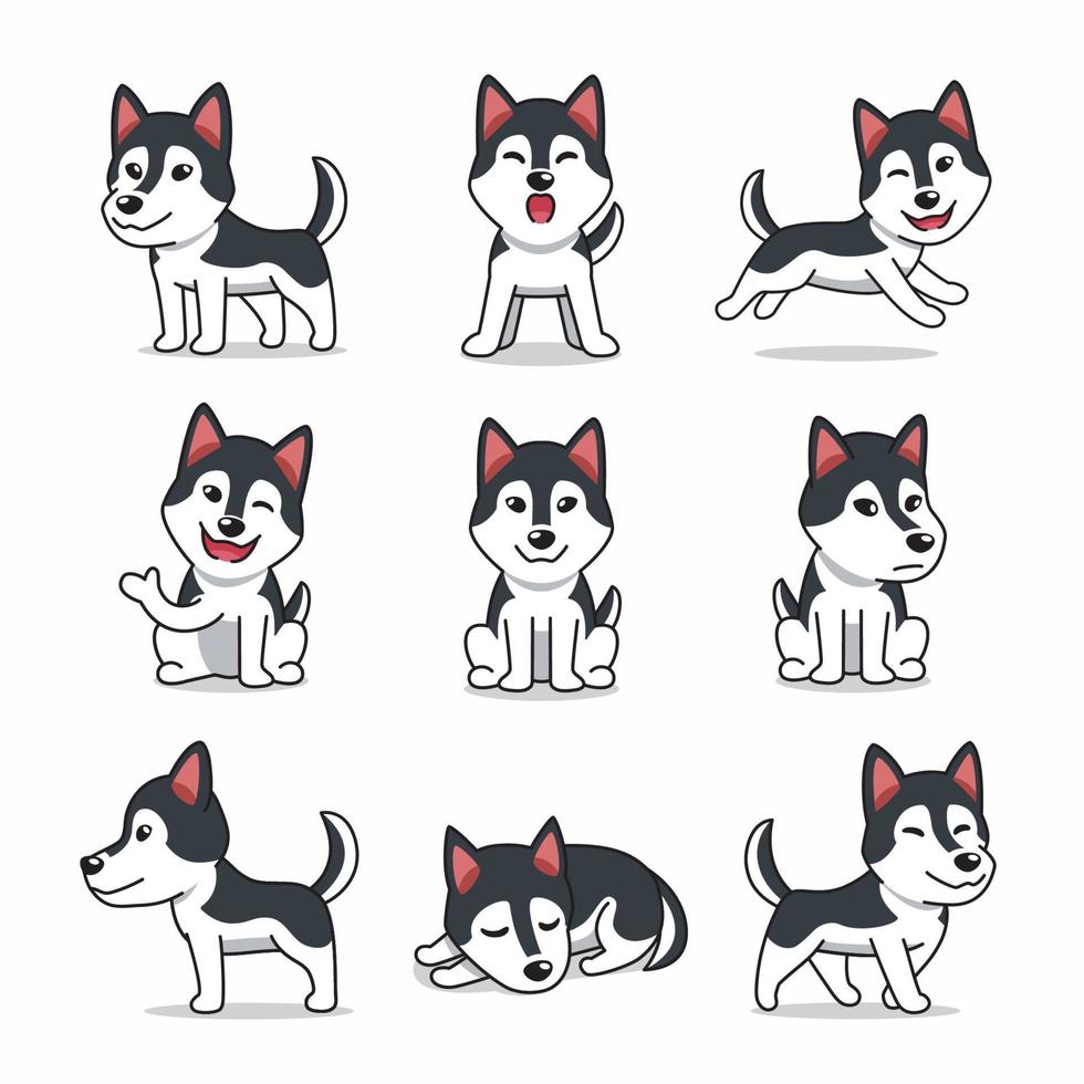 conjunto de personagens de desenhos animados de cão husky siberiano vetor