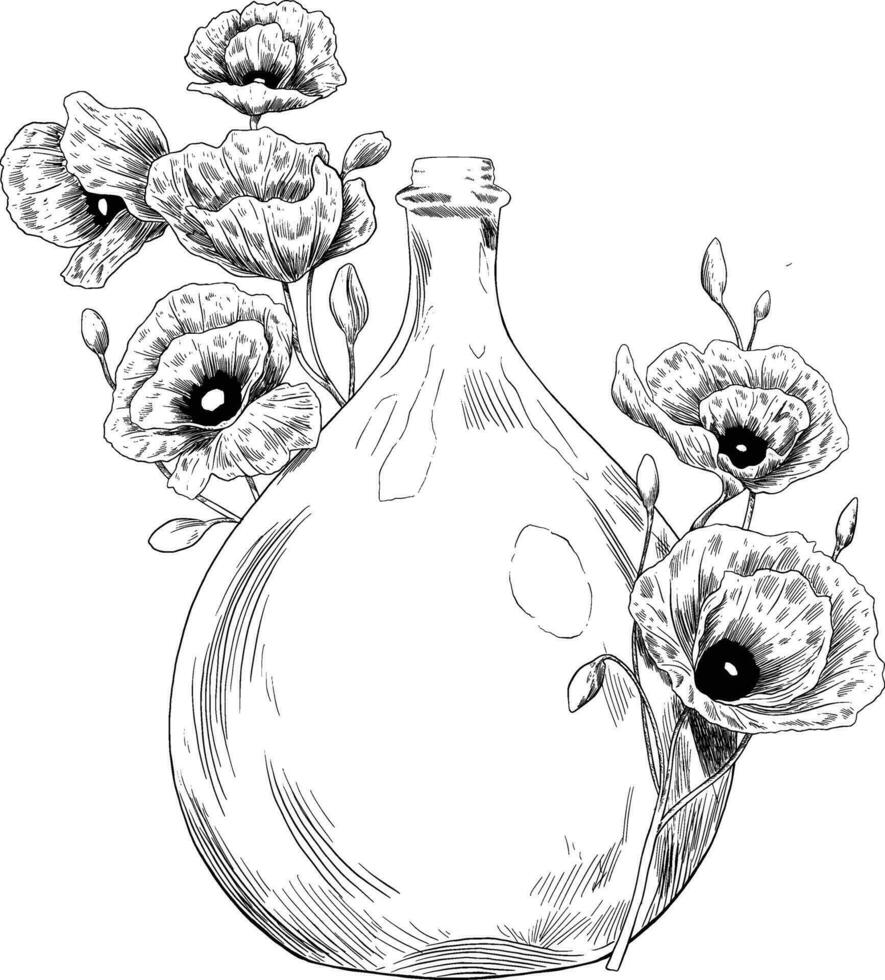 papoula dentro a jarra botânico ilustração vetor