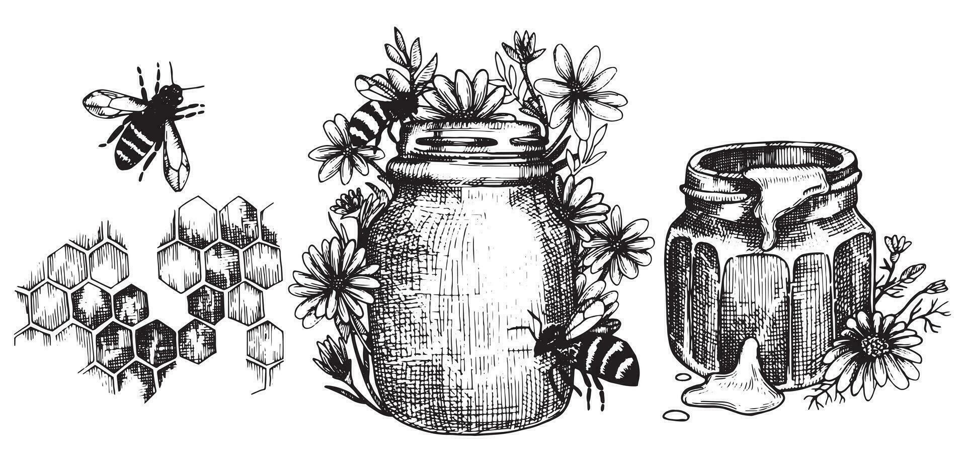 desenho vetorial vintage sobre o tema do mel, apicultura. gráficos de ilustração preto e branco, esboço. mel, favos de mel, abelhas. vetor