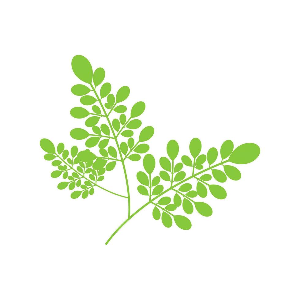 moringa logotipo vetor modelo símbolo natureza