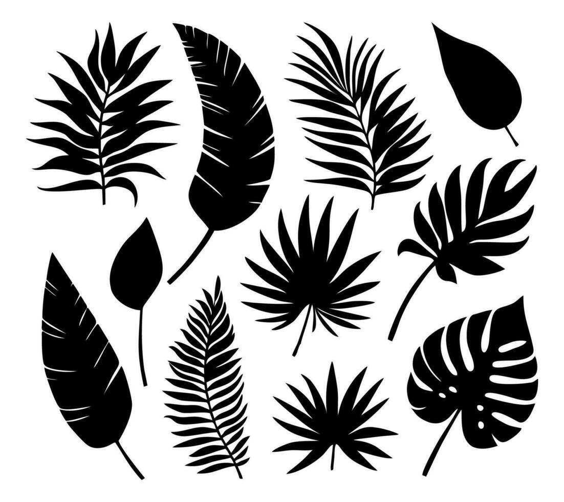 conjunto do tropical folhas dentro silhuetas. diferente folha coleção. selva floresta flora. Palma, monstro, banana árvore isolado em branco fundo. vetor ilustração.