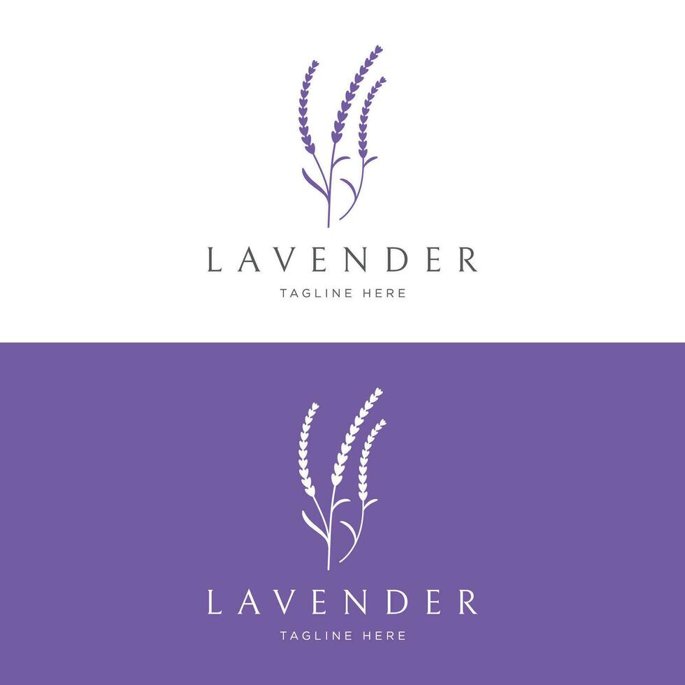 florescendo lavanda orgânico flor logotipo modelo Projeto. logotipo para cosméticos, beleza, botânica, perfume e decoração. vetor