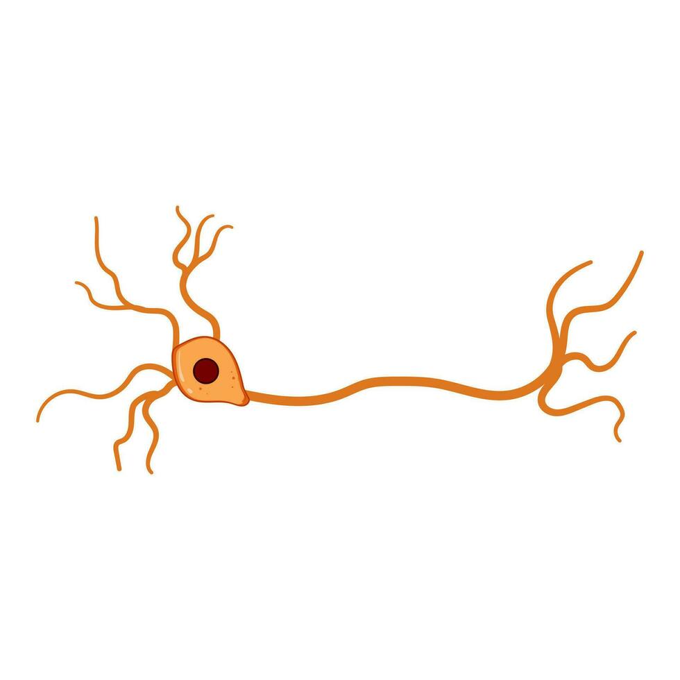 célula neurônios desenho animado vetor ilustração