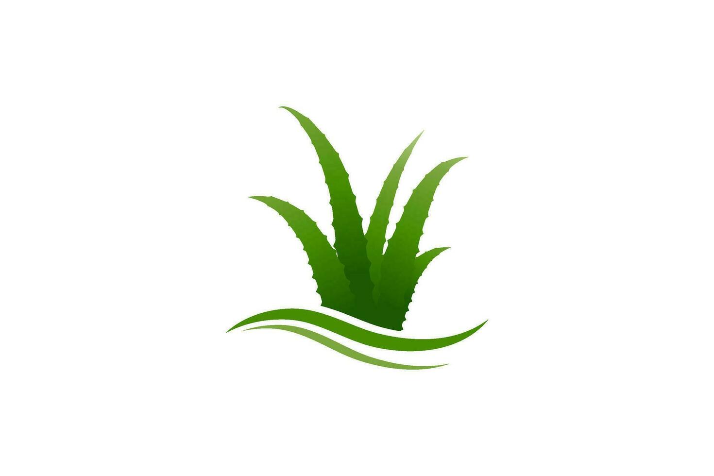 design de ilustração vetorial de aloe vera vetor