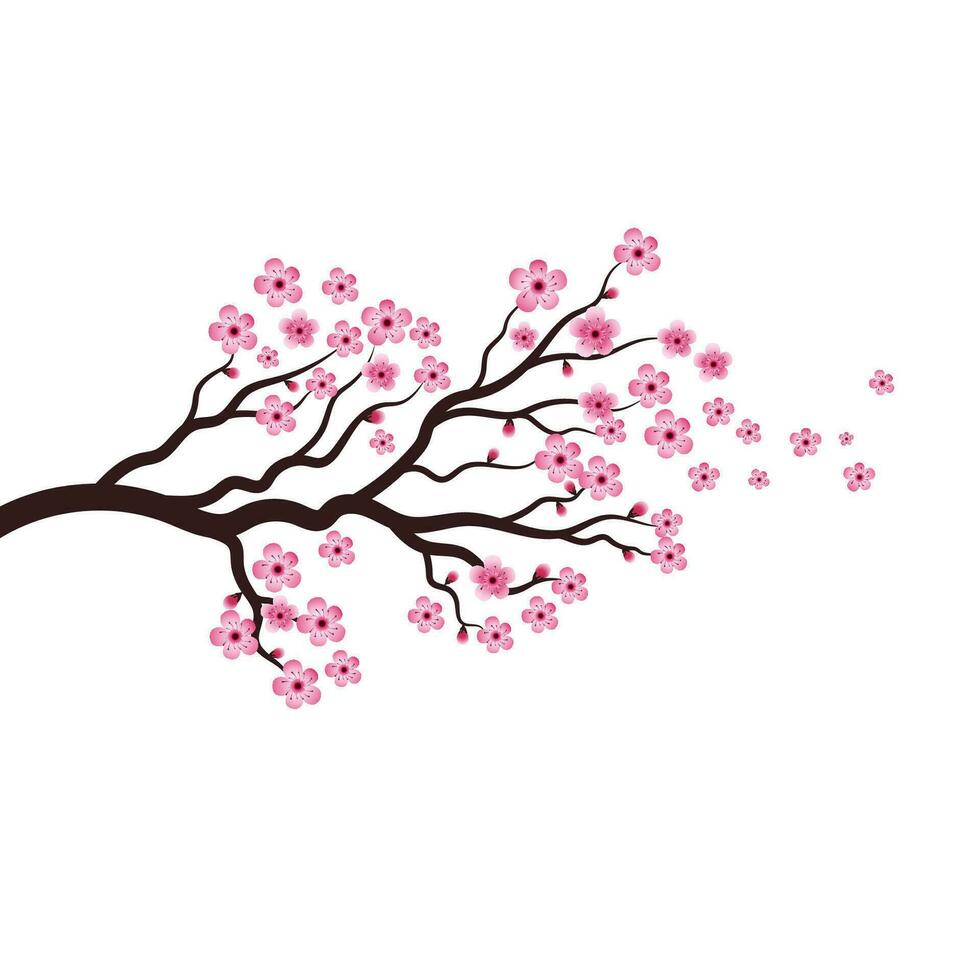 ícone de vetor de flor de beleza sakura
