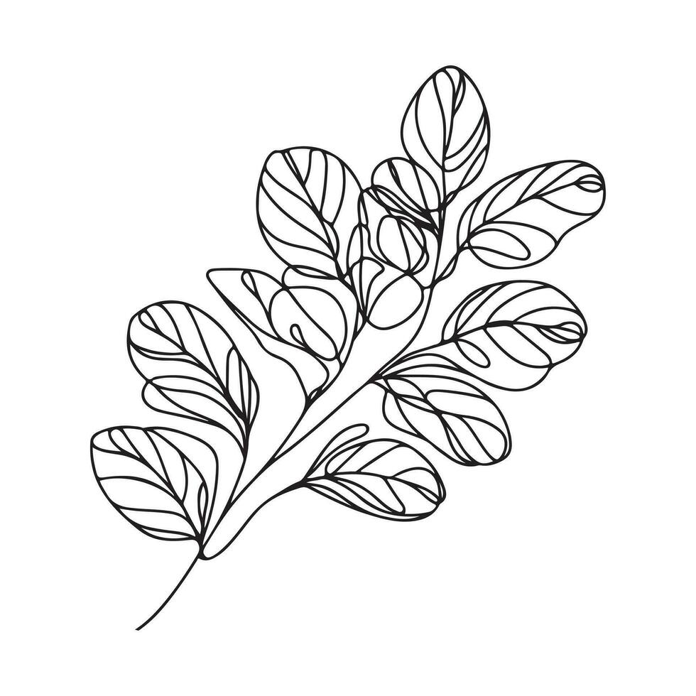 estético decorativo linha arte ilustração do folha, floral vetor