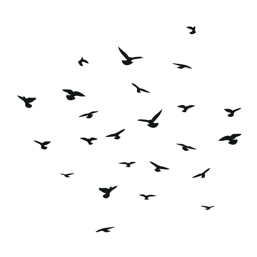 silhueta esboço do uma rebanho do vôo pássaros, voar dentro diferente posições. decolar, vôo, voo, vibração, flutuar, subindo, aterrissagem vetor