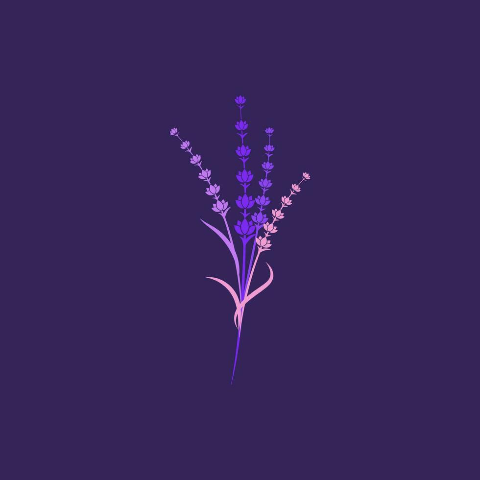 ilustração de ícone de vetor de flor de lavanda