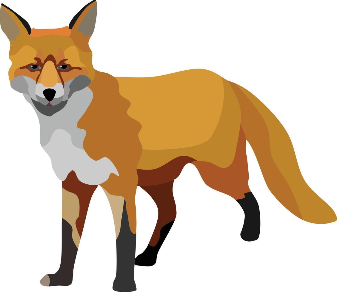 raposa mamífero vetor animal