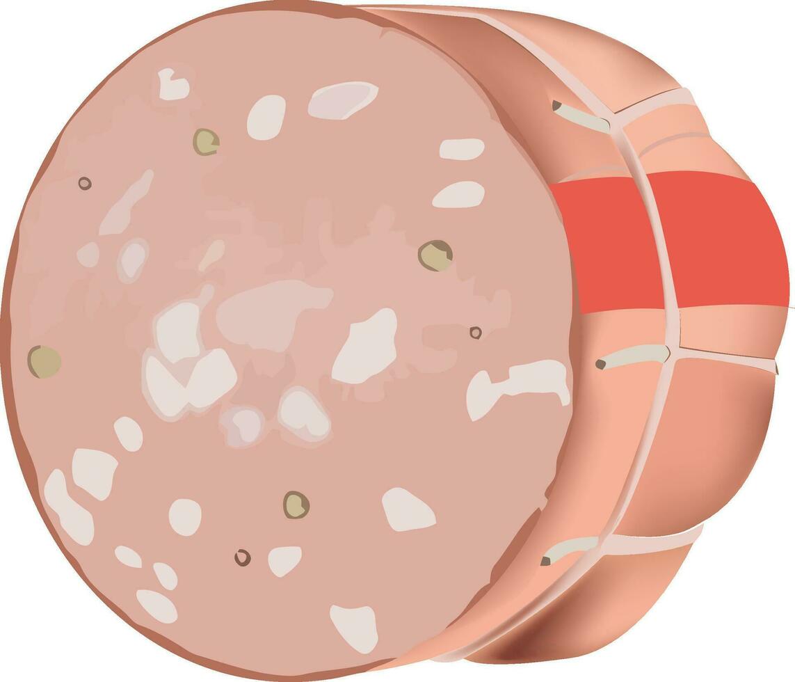 italiano linguiça mortadela bolonhesa com pistachios vetor
