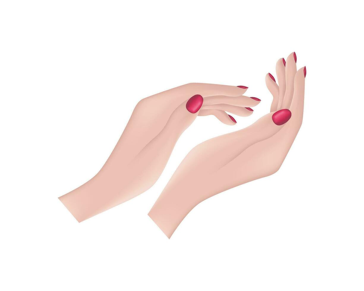 fêmea mãos. aplaudindo fêmea mãos. aplausos. mulheres s mãos com uma lindo manicure. vetor ilustração