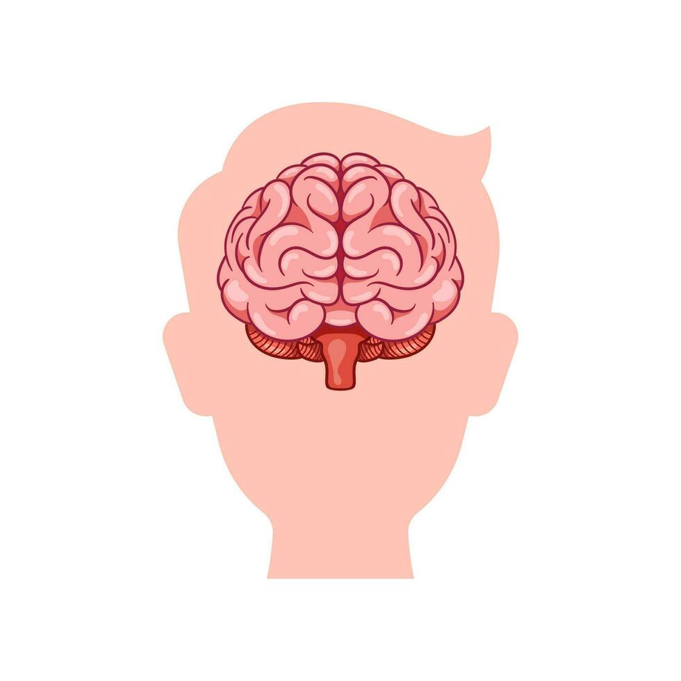 humano cabeça com cérebro dentro vetor isolado em branco fundo.