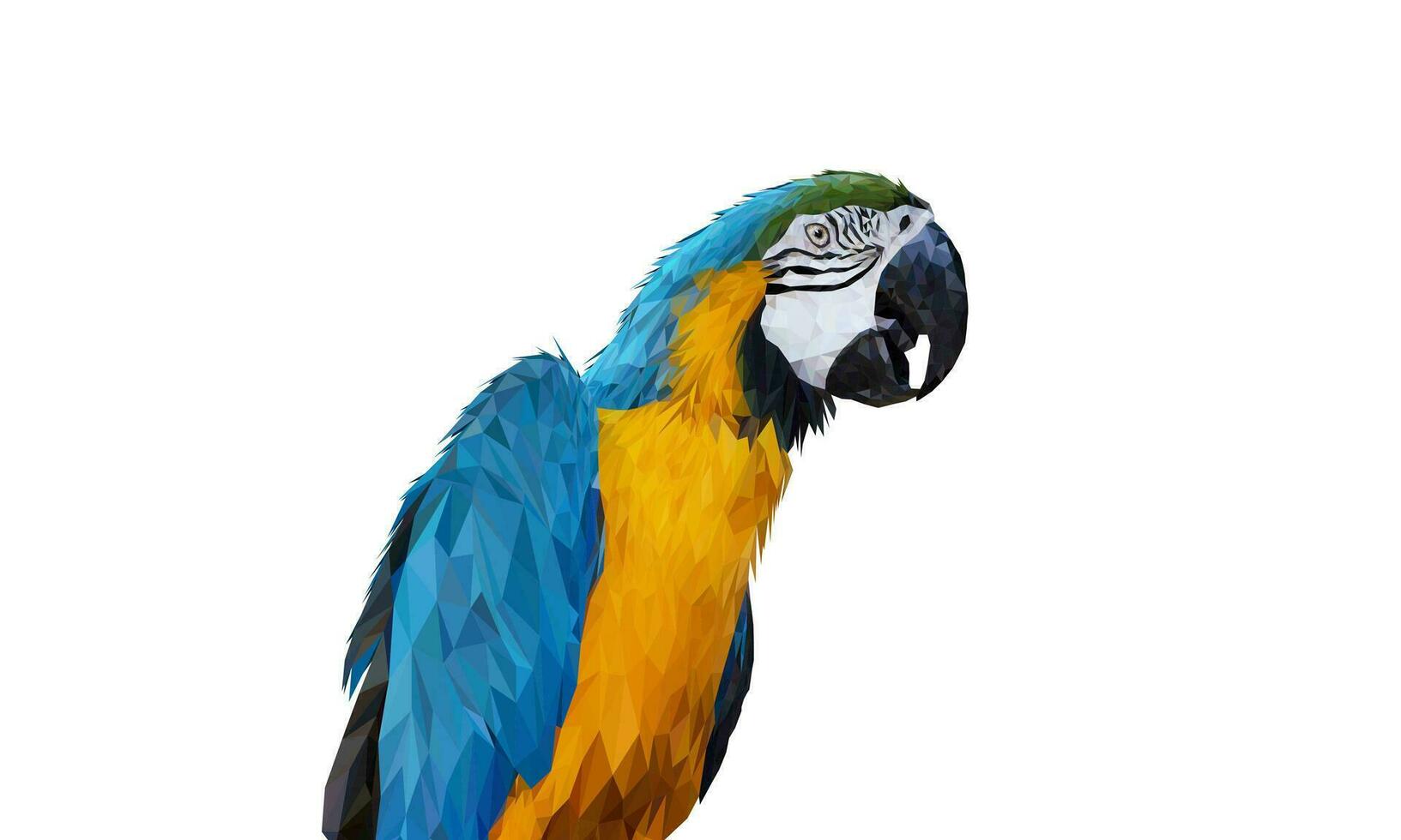 polígono gráficos azul e amarelo arara papagaio isolado em uma branco fundo vetor