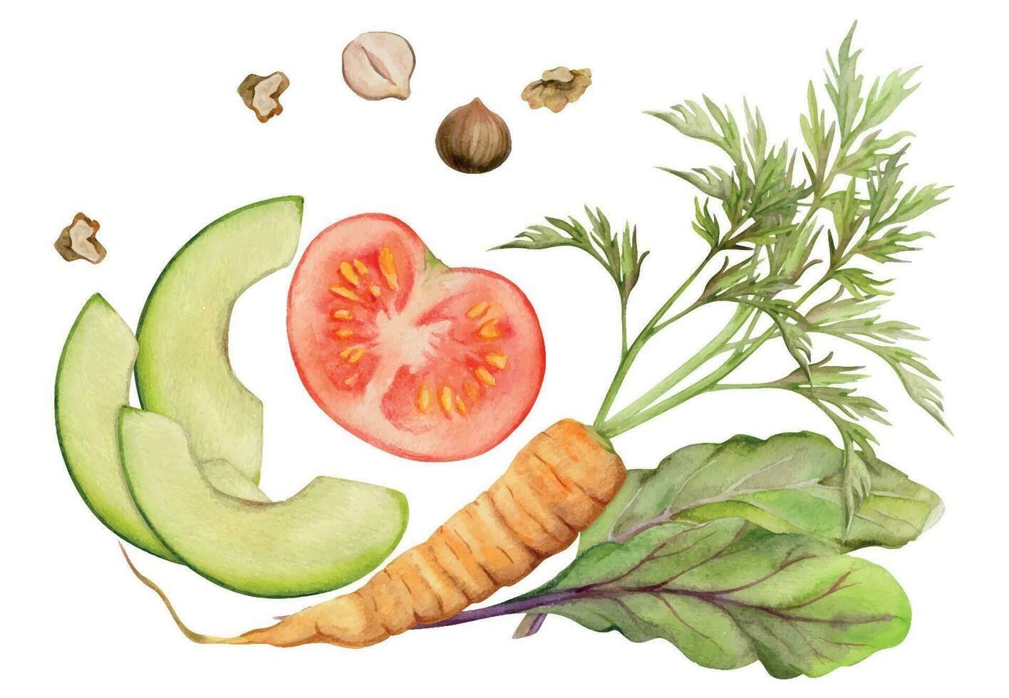 mão desenhado aguarela vegetal e erva misturar para dieta e saudável estilo de vida, salada vegano culinária. ilustração composição isolado em branco fundo. Projeto para poster, imprimir, local na rede Internet, cartão, cardápio vetor