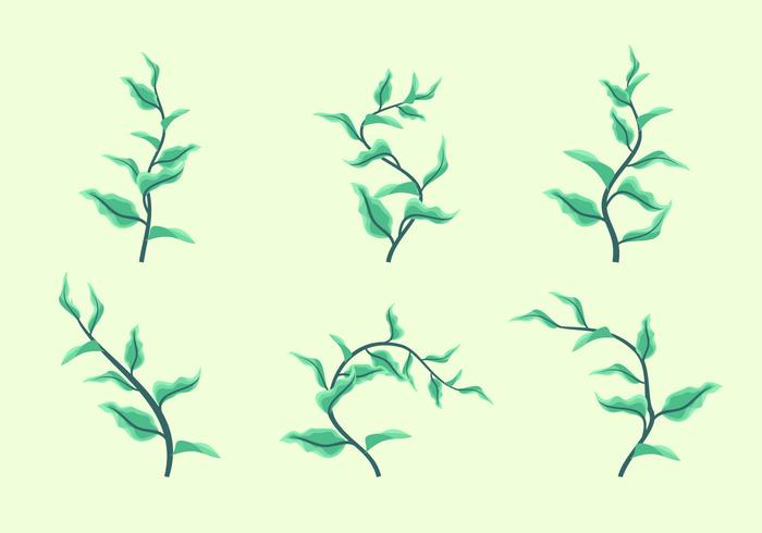 Conjunto de vetores de folhas verdes Clipart